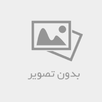 خرید آنلاین محصولاتی پروتئینی